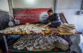 مجمع أم البنين(عليها السلام) الخدمي يسخر كل طاقته من أجل خدمة زائري أربعينية الإمام الحسين(عليه السلام).. 