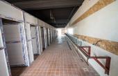 جهود استثنائية إضافية يشهدها مشروع مضيف العتبة العباسية المقدسة على طريق (بغداد – كربلاء).. 