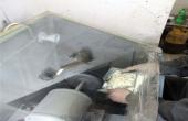 الانتهاء من تركيب قواعد الشباك والمباشرة بتركيب الوردات على الهيكل الخشبي لشباك ضريح أبي الفضل العباس(عليه السلام)..