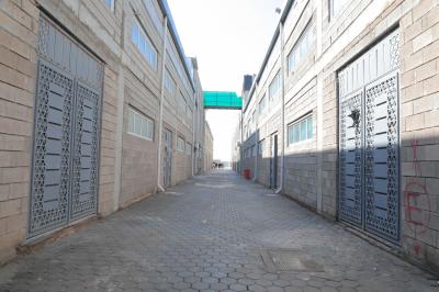 صور من آخرالاستعدادات لإقامة حفل تخرّج الطالبات الجامعيّات دفعة (بَنات الكَفيل)