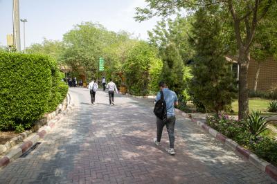 جامعة العميد: تحديث المناهج الدراسية الطبية بشكل مستمر لمواكبة نظم التعليم العالمية