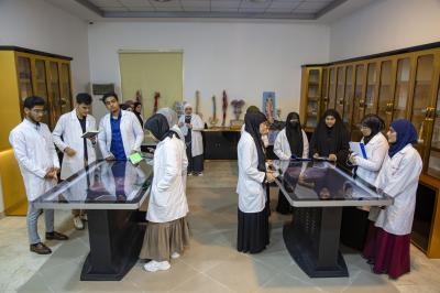 جامعة العميد: تحديث المناهج الدراسية الطبية بشكل مستمر لمواكبة نظم التعليم العالمية