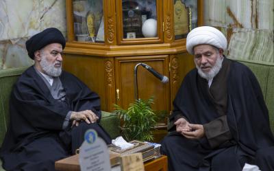 السيد الصافي لأئمّة المساجد: من يدخل في سلك التبليغ عليه أن يتحمّل كلّ ما له علاقة بأهمية المشروع التبليغي