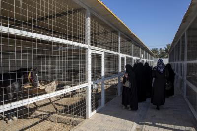 في اليوم العالمي للأراضي الرطبة.. وفد وزارة البيئة يشيد بمشاريع العتبة العباسية للقضاء على التصحر