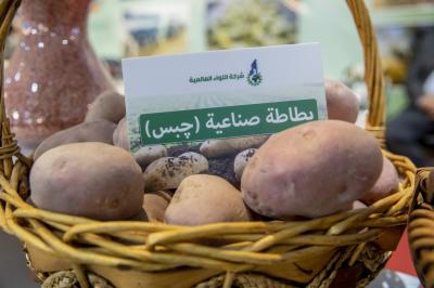 لجنة الزراعة النيابية: مشاريع العتبات المقدسة الزراعية حققت الأمن الغذائي والاكتفاء الذاتي