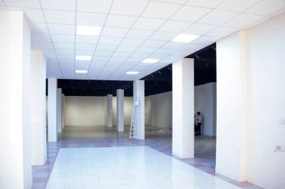 متحف الكفيل يشرف على خطوات إنشاء متحف جامعة المثنى
