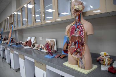 جامعة الكفيل: كلّية الطبّ تعتمد أحدث المعدّات في مختبراتها والوسائل التعليمية لضمان جودة التعليم...