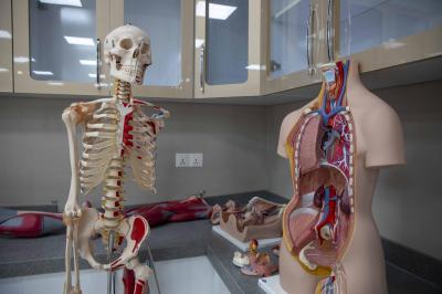 جامعة الكفيل: كلّية الطبّ تعتمد أحدث المعدّات في مختبراتها والوسائل التعليمية لضمان جودة التعليم...