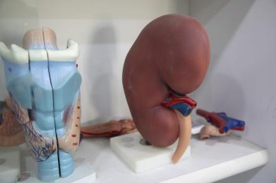 باستخدام أسلوب المريض المثالي.. كلّية الطبّ في جامعة العميد تُحدث نقلةً في أساليب تدريب الطلبة