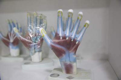 باستخدام أسلوب المريض المثالي.. كلّية الطبّ في جامعة العميد تُحدث نقلةً في أساليب تدريب الطلبة