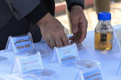 قسم الشؤون الفكرية يعرض إصداراته في مهرجان نبي الرحمة بجامعة الموصل