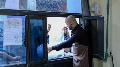 قسم الشؤون الخدمية يوفّر الثلج البلوري للزائرين والمواكب الحسينيّة خلال زيارة الأربعين