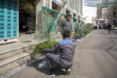 العتبة العباسية المقدسة تنشر أشجار الزينة تزامنًا مع حلول ذكرى ولادة النبي الأكرم(صلى الله عليه وآله)