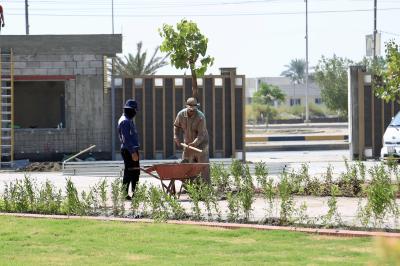 لزيادة المساحات الخضراء.. قسم الحزام الأخضر الثاني يشرع بحملة تشجير في جامعة العميد