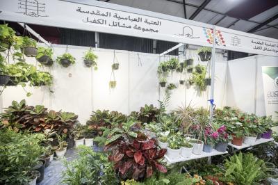 مجموعة مشاتل الكفيل تعرض تشكيلة متكاملة من النباتات الظلية والموسمية في مهرجان عين الحياة الرابع