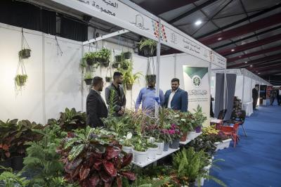 مجموعة مشاتل الكفيل تعرض تشكيلة متكاملة من النباتات الظلية والموسمية في مهرجان عين الحياة الرابع