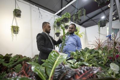 مجموعة مشاتل الكفيل تعرض تشكيلة متكاملة من النباتات الظلية والموسمية في مهرجان عين الحياة الرابع