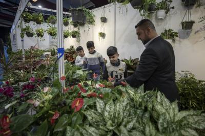 مجموعة مشاتل الكفيل تعرض تشكيلة متكاملة من النباتات الظلية والموسمية في مهرجان عين الحياة الرابع