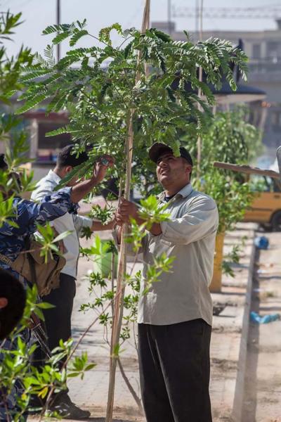 مجموعةُ مشاتل الكفيل تُباشر بتشجير الشارع الرئيسيّ لمنطقة حيّ النصر كمرحلةٍ أولى..