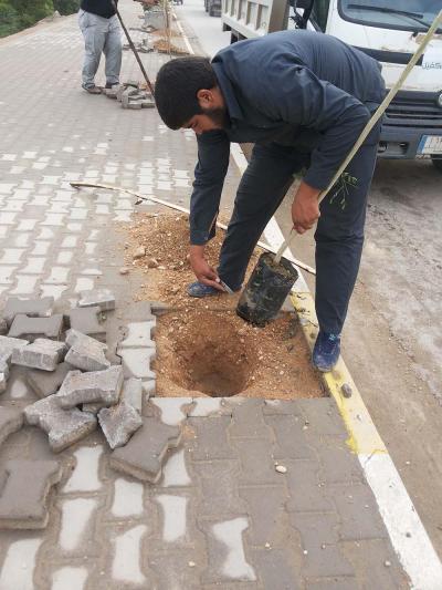 مجموعةُ مشاتل الكفيل تُباشر بتشجير الشارع الرئيسيّ لمنطقة حيّ النصر كمرحلةٍ أولى..