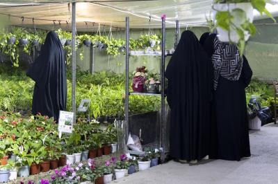 بأجواء رمضانية مميزة.. مجموعة مشاتل الكفيل تستقبل العوائل العراقية يوميًا