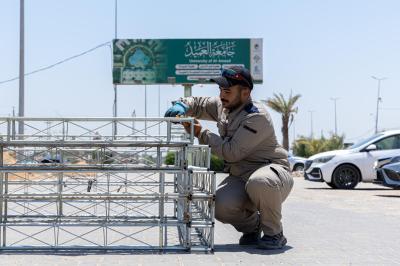 قسم الصناعات يباشر تركيب هياكل معدنية خاصة بالموكب الثقافي العام الواقع على محور النجف الأشرف