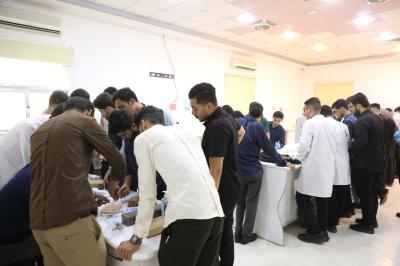 جامعة العميد تقيم دورة تدريبية عن دور المفارز الطبية في زيارة الأربعين