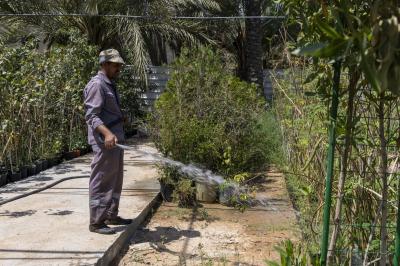 على مساحة تتجاوز 800 متر مربع.. مشاتل الكفيل تنشئ ثلاثة بيوت ظلية لتعزيز إنتاج النباتات