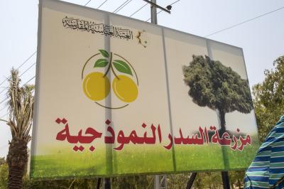 ضمن جولاته الميدانية.. قسم التطوير يجمع البيانات التطويرية والتدريبية لأقسام العتبة العباسية المقدسة