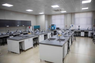 جامعة الكفيل تحقق مراتب متقدمة في تصنيفات دولية ومحلية