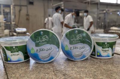 معمل ألبان الكفيل.. جهود وطنية لدعم المنتج المحلي والحد من الاستيراد