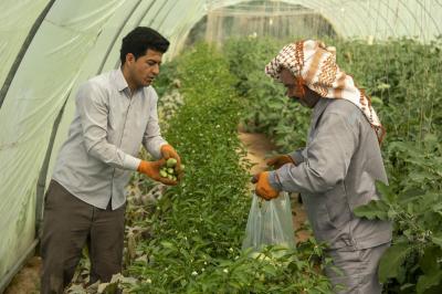 رئيس فرع نقابة الصحفيين في كربلاء: مشاريع العتبة العباسية المقدسة الزراعية تسهم في توفير السلة الغذائية وفرص العمل