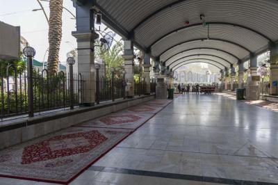 قسم بين الحرمين يهيِّئ الساحة الوسطية ويجري أعمال تشذيب أشجار حدائقها