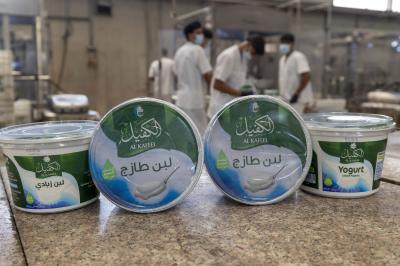 معمل ألبان الكفيل.. من خطوط الإنتاج إلى مائدة العراقيين