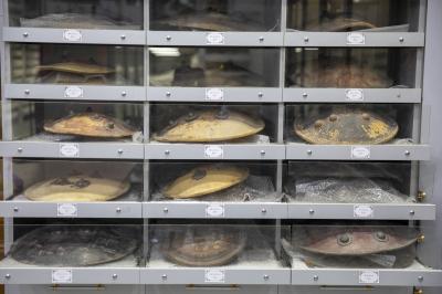 ضمن أعمال التوثيق.. متحف الكفيل ينجز تحديث صور أكثر من 100 درع تاريخي