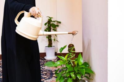 مركز الصديقة الطاهرة (عليها السلام) ينهي استعداداته لاستقبال وفد جامعة ميسان ضمن برنامج أعدّته شعبة العلاقات العامة