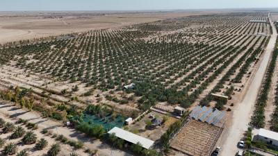 جامعة كربلاء: مشاريع العتبة العباسية المقدسة تقدم نموذجًا للزراعة الآمنة بالمواد العضوية