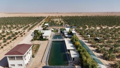 جامعة كربلاء: التعاون مع العتبة العباسية المقدسة يعزّز تطوير القطاع الزراعي ويدعم البحث العلمي