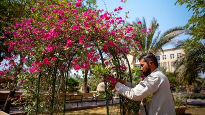 جامعة الكفيل تستكمل استعداداتها لانطلاق العام الدراسي الجديد 2026–2027