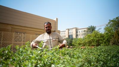 جامعة الكفيل تستكمل استعداداتها لانطلاق العام الدراسي الجديد 2026–2027