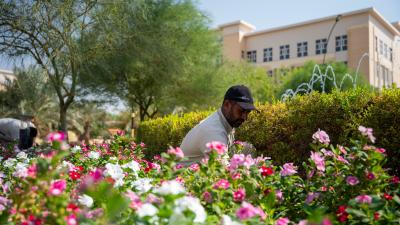 جامعة الكفيل تستكمل استعداداتها لانطلاق العام الدراسي الجديد 2026–2027