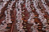 معهد القرآن الكريم يحتفل بتخرج الدورة الصيفية  الثالثة