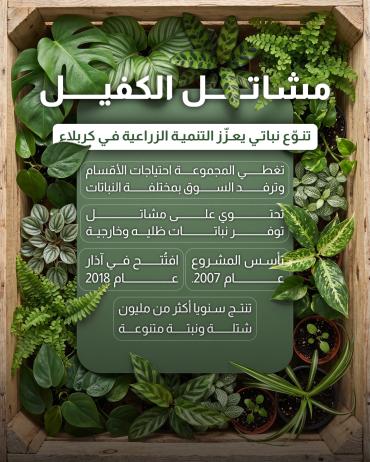 مشاتل الكفيل.. تنوّع نباتي يعزّز التنمية الزراعية في كربلاء