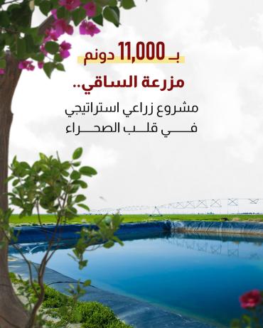 مزرعة الساقي.. مشروع زراعي استراتيجي في قلب الصحراء 