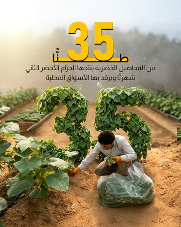 35 طنًّا من المحاصيل الخضرية ينتجها الحزام الأخضر الثاني شهريًّا ويرفد بها الأسواق المحلية.