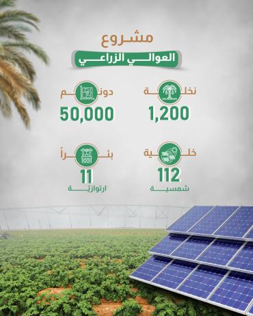 بالأرقام.. مشروع العوالي الزراعي