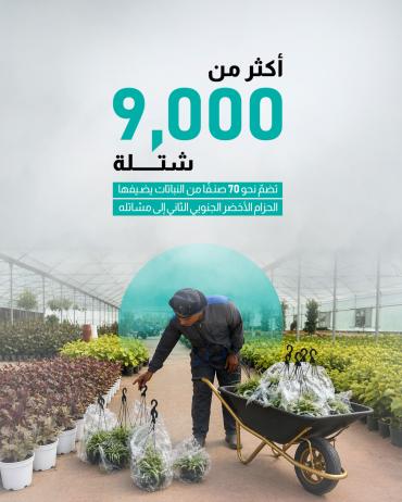 أكثر من 9000 شتلة تضمّ نحو 70 صنفًا من النباتات يضيفها الحزام الأخضر الجنوبي الثاني إلى مشاتله