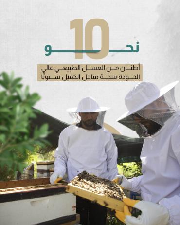 نحو 10 أطنان من العسل الطبيعي عالي الجودة تنتجهُ مناحل الكفيل سنويًّا
