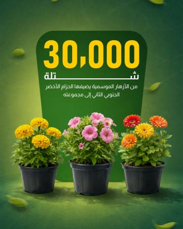 30 ألف شتلة من الأزهار الموسمية يضيفها الحزام الأخضر الجنوبي الثاني إلى مجموعته