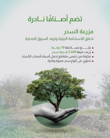  مزرعة السدر تحقق الاستدامة البيئية وترفد السوق المحلية